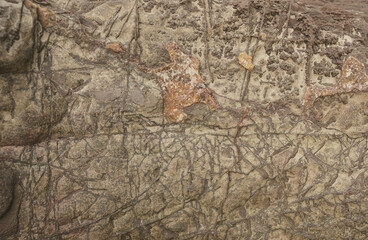 Textura de roca. Mapa de la historia.
