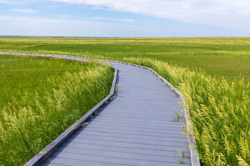 Trail at Prairie Wind Overlook in Badland national park during summer. From grassland to valley. Badland landscape South Dakota.