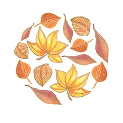 Decorative round element of watercolor illustrations, orange leaves