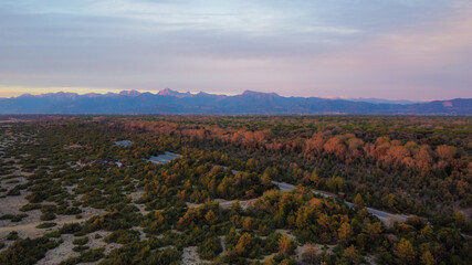 Aerial view of the Apuan Alps mountain range and autumn vegetation in Tuscany, Italy. Trees on the coast, bird's eye view.