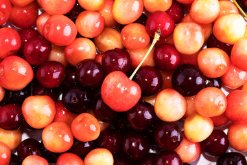 Lots of ripe cherries with stems and leaves. Large collection of fresh cherries. Ripe cherries background. Cherry. Yellow cherry