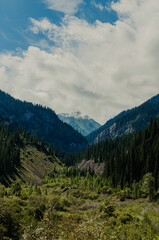 Fototapeta na wymiar Valley in East Kazakhstan