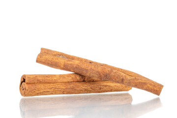 Two fragrant dry cinnamon sticks, close-up, isolated on white.