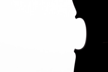 Obraz na płótnie Canvas A sihouette of a part of a violin or a viola on a white background
