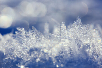 abstract winter background hoarfrost frost ice snow seasonal