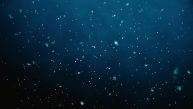 Beautiful winter animation. Falling snow animation loop background. Snowfall overlay.