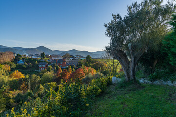 Fototapeta premium Forest and gardens of the Fonte Baixa in autumn in the city of Luarca, in Asturias. 