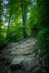 Fototapeta na wymiar Black trail hike