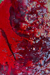 Real Red blood background . Real animal blood, gore close up macro shot for background . After the...