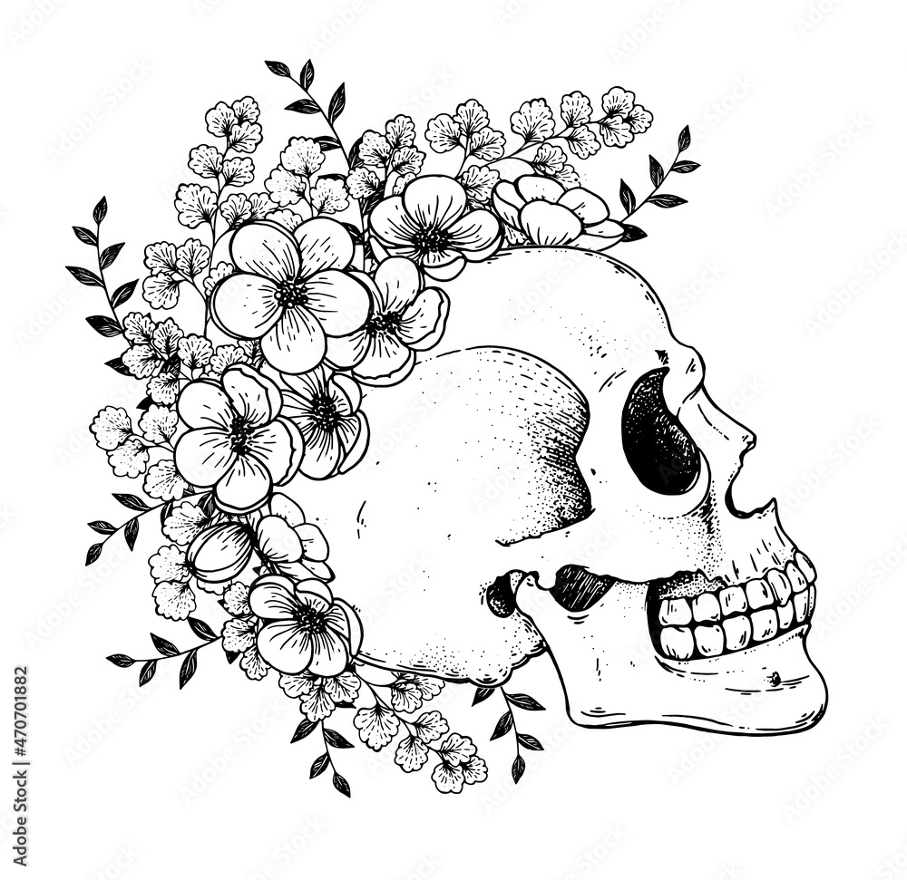 Wall mural Human Skull and flowers sketch, hand drawn illustration. Vector illustration. Tattoo vintage print. Skull and camellia flower . T-shirt design. Black and white.