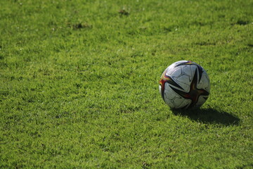 Fototapeta na wymiar Soccer ball on a freshly mowed grass field selective focus