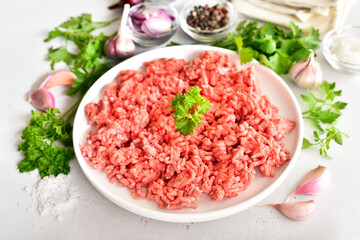 Raw beef minced meat