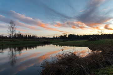 reflections of colored clouds in the lake water at sunset,silhouettes of trees in golden hour