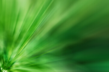 Obraz premium abstract blurred in motion green stripes