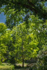 View through the park against the background of dark storm clouds.