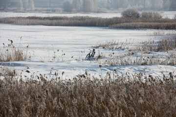 On the edge of the lake covered with ice and snow there is a lonely bicycle. On forward and a background beige strips of dry reed are visible.