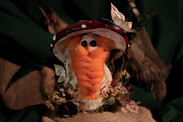 thanksgiving decoration, gnome, mushroom