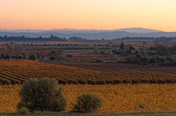 Fototapeta premium Plaines du Minervois et Pyrénees au coucher du soleil
