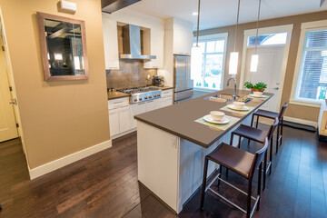 Modern, bright, clean, kitchen interior with stainless steel appliances in a luxury house