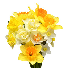 Obraz na płótnie Canvas Bouquet of yellow and white daffodils flowers isolated on white background. Flat lay, top view