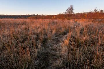 nature reserve in the netherlands westerwolde groningen