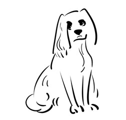 black and white spaniel sketch. you can use it for postcards, stickers, t-shirts and mugs