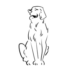 black and white retriever sketch. you can use it for postcards, stickers, t-shirts and mugs