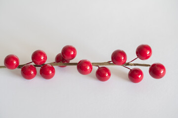 Christmas decorations, a branch with red berries on a white background