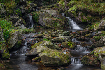Fototapeta premium Sumny creek in autumn morning in Jeseniky mountains
