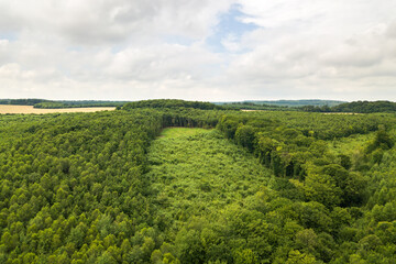 Obraz premium Top down aerial view of green summer forest with large area of cut down trees as result of global deforestation industry. Harmful human influence on world ecology