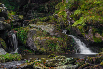 Obraz premium Sumny creek in autumn morning in Jeseniky mountains