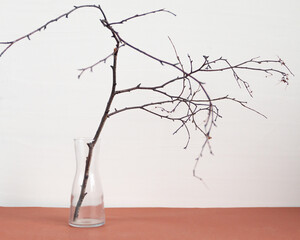 branches of a tree in vase