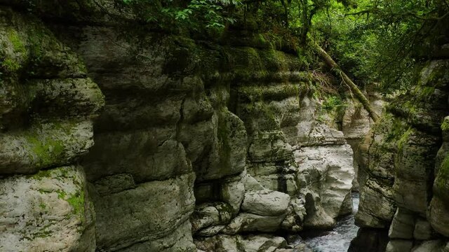 Caucasus. A flight in the Navalishinsky canyon over the Khosta mountain river. Subtropical forest.