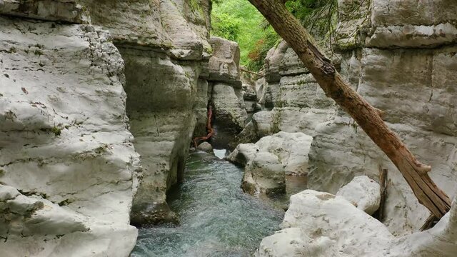 Caucasus. A flight in the Navalishinsky canyon over the Khosta mountain river. Subtropical forest.