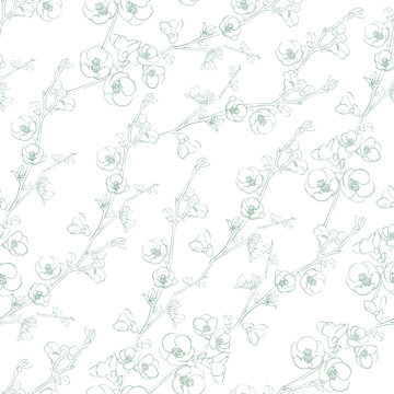 Sakura seamless pattern on white background.