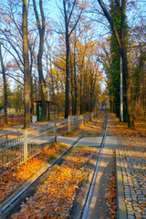 A picturesque view of the tram tracks in the park in autumn.