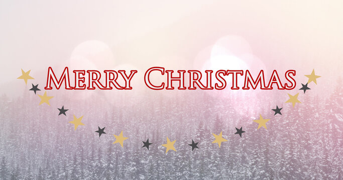 Image of merry christmas text over stars and fir trees