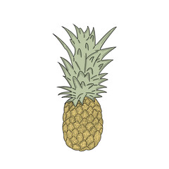 One Colour Pineapple Hand-Drawn 