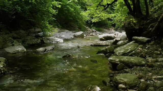 Caucasus. A flight in the Navalishinsky canyon over the Khosta mountain river. Subtropical forest.