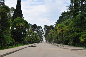 A street in Sukhumi, capital of separatist state Abkhazia.