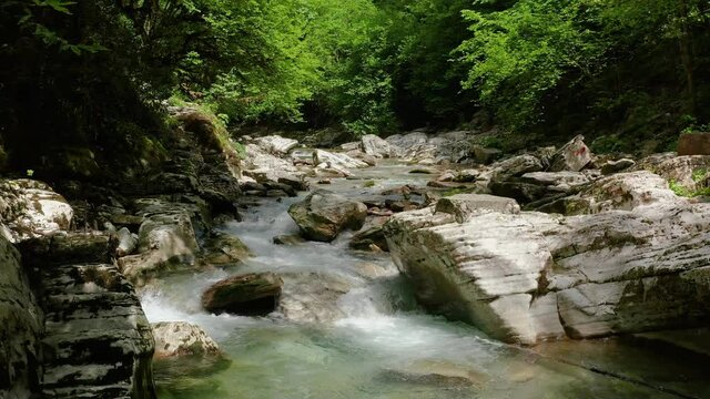 Caucasus. A flight in the Navalishinsky canyon over the Khosta mountain river. Subtropical forest.
