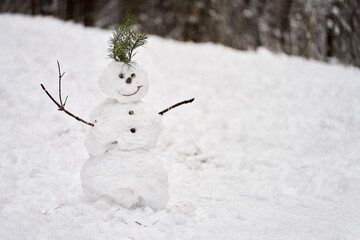 Nature walk with children. Funny unpretentious snowman with a bunch of pine branches in his head on...