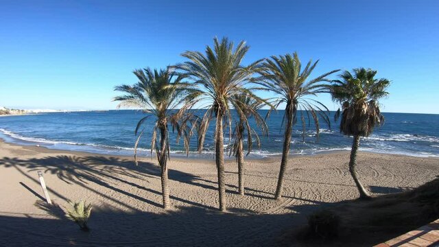 Palm trees waving in the wind on a sandy beach and blue sky in the holiday town of Benalmadena on the Costa del sol in Spain