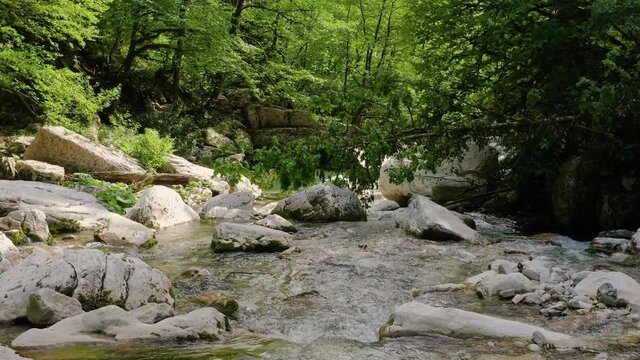 Caucasus. A flight in the Navalishinsky canyon over the Khosta mountain river. Subtropical forest.
