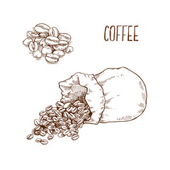Hand drawn vector ripe coffee bean illustration