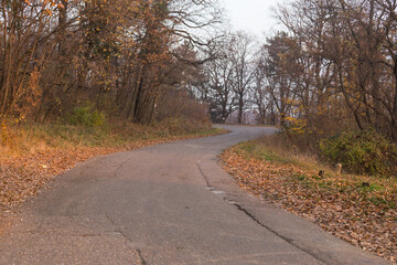 Fototapeta na wymiar Curving road in autumn forest.