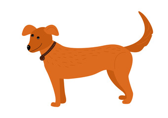 Vector farm animals, rustic domestic horse 
dog.Agricultural animals in flat style isolated on white background. Childrens illustration