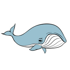 vector humpback whale on white background, isolated