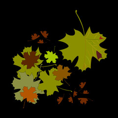 Autumn leaves on a black background.