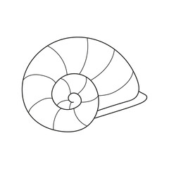 Simple coloring page. Line drawn round seashell on white isolated background. Summer ocean object. For coloring book pages.